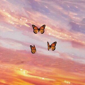 Meet your Posher, Helen